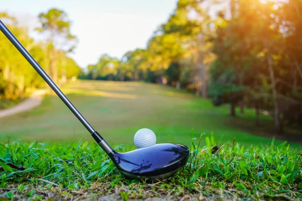 Golf Clubs Ball Green Lawn Beautiful Golf Course Morning Sunshine — Stock Fotó