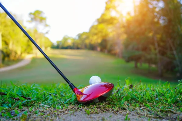 Golf clubs and ball on a green lawn in a beautiful golf course with morning sunshine. golf ball on green grass ready to hit on golf course background.