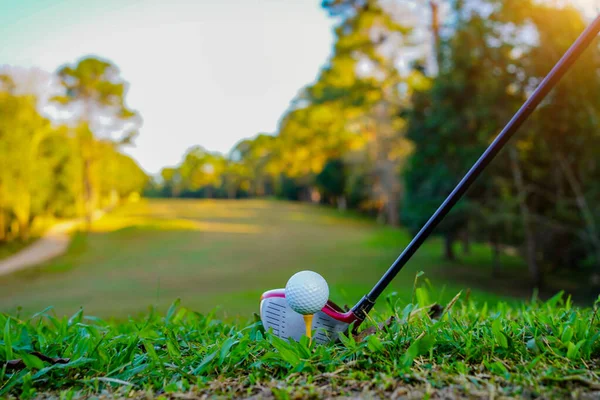 Golf Clubs Ball Green Lawn Beautiful Golf Course Morning Sunshine — Stock Photo, Image