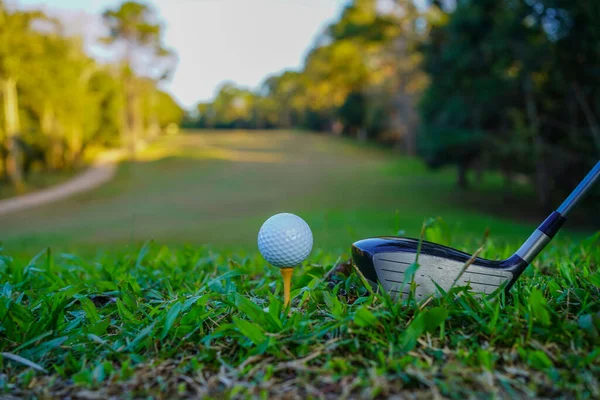 Golf sopaları ve top yeşil çimlerde sabah güneşli güzel bir golf sahasında. Golf sahası arka planına vurmaya hazır yeşil çimlerde golf topu.                              