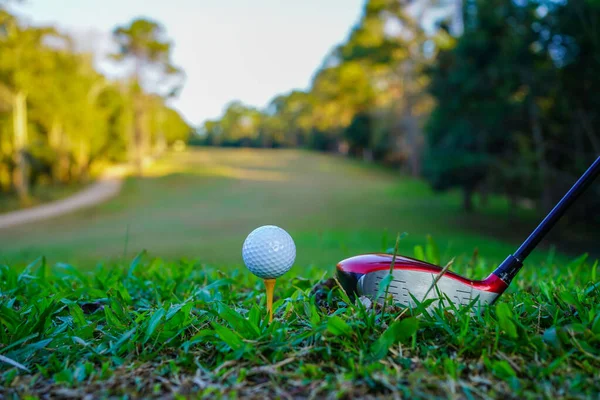Golf sopaları ve top yeşil çimlerde sabah güneşli güzel bir golf sahasında. Golf sahası arka planına vurmaya hazır yeşil çimlerde golf topu.                              