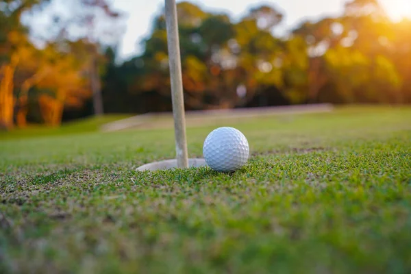Golfbal Een Groen Gazon Een Prachtige Golfbaan Met Ochtendzon Klaar — Stockfoto