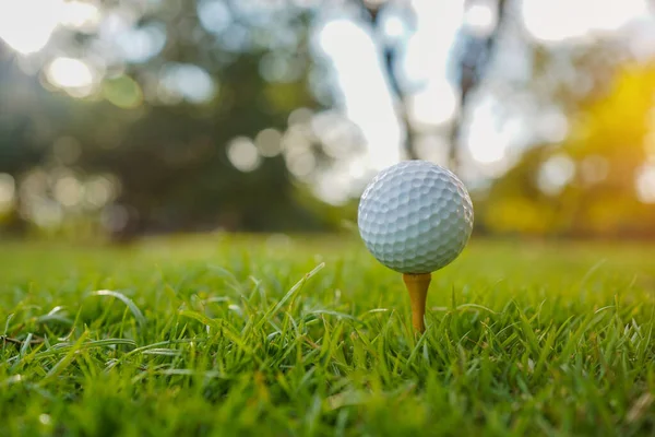 ゴルフボールは朝の日差しと美しいゴルフコースの緑の芝生でティーにあります 最初の短いゴルフの準備ができています 世界中の人々が健康のための休日の間に遊ぶスポーツ — ストック写真