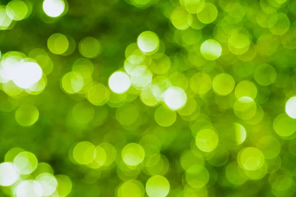 Размыть Натуральные Зеленые Листья Боке Фоне Зеленый Фон Боке Зеленый — стоковое фото