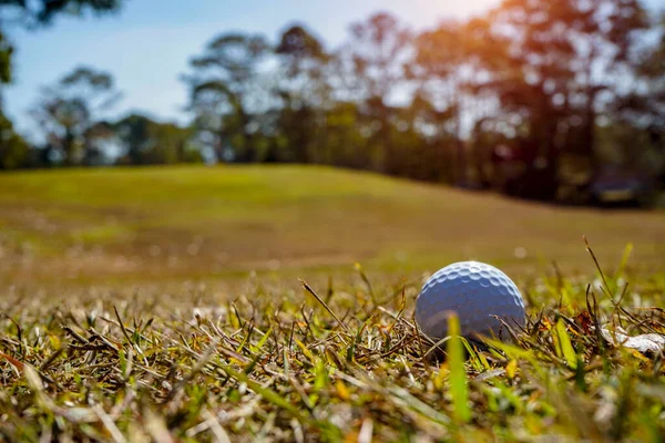 석양을 배경으로 아름다운 골프장에 녹색으로 골프공 있습니다 아름다운 골프공 — 스톡 사진