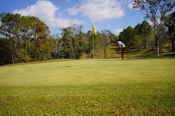 高尔夫球手在日落或日出时把高尔夫球打孔 绿地秀丽的高尔夫球场景观 高尔夫球场绿树成荫 风景秀丽 体育概念 — 图库照片