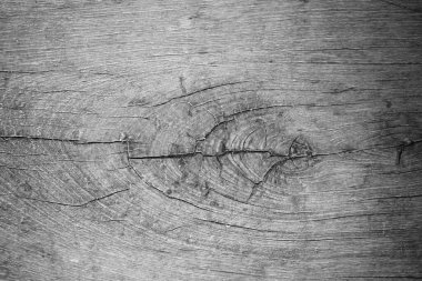 Eski beyaz, parlak ahşap doku- ahşap arka plan panoraması, gri ahşap doku ve doğal tasarım figürü..                               