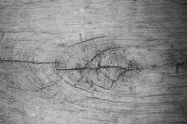 Eski beyaz, parlak ahşap doku- ahşap arka plan panoraması, gri ahşap doku ve doğal tasarım figürü..                               