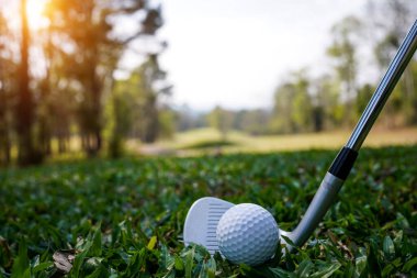 Golf sopaları ve golf topları yeşil çimlerde sabah güneşli güzel bir golf sahasında. Golf sahası arka planına vurmaya hazır yeşil çimlerde golf topu.                               