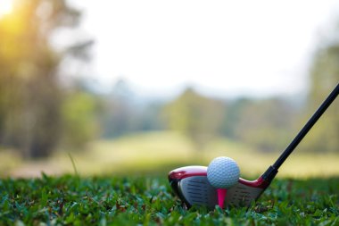 Golf sopaları ve golf topları yeşil çimlerde sabah güneşli güzel bir golf sahasında. Golf sahası arka planına vurmaya hazır yeşil çimlerde golf topu.                               