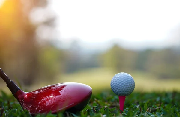 朝の日差しが美しい美しいゴルフコースで緑の芝生の上のゴルフクラブやゴルフボール 緑の芝生の上のゴルフボールゴルフコースの背景にヒットする準備ができて — ストック写真