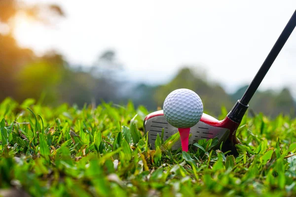 햇살이 내리쬐는 아름다운 골프장의 잔디에 골프공 있습니다 골프장에서 골프를 준비가 — 스톡 사진