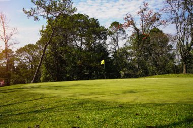 Golf sahasında yeşil çimenler ve ağaçlar. Golf sahasında yeşil çimenler ve ağaçlar. Golf sahasının manzarası ve güzel bir golf sahası. Zengin yeşil çimenlikli golf sahası. Güzel manzara..                               