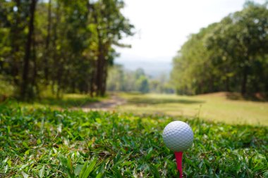 Sabah güneşinde golf sahasında golf topları. İlk kısa golf seansına hazır. Dünyanın dört bir yanındaki insanların sağlık tatilinde oynadığı bir spor..                               