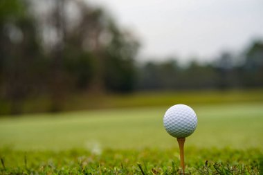 Sabah güneşinde golf sahasında golf topları. İlk kısa golf seansına hazır. Dünyanın dört bir yanındaki insanların sağlık tatilinde oynadığı bir spor.                               