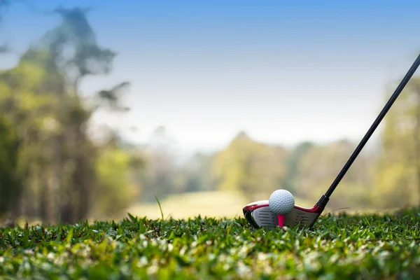 Golf Clubs Golf Balls Green Lawn Beautiful Golf Course Morning — Foto Stock