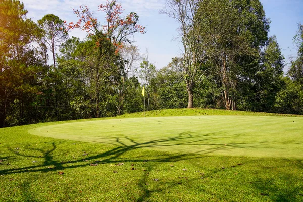 골프장의 잔디와 녹색으로 아름다운 코스가 보인다 아름다운 잔디가 — 스톡 사진