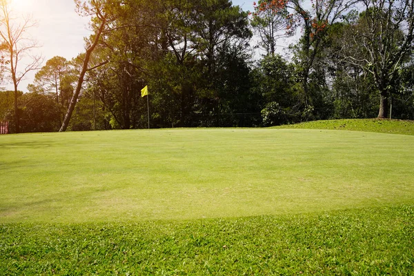 Zöld Erdő Egy Golfpályán Kilátás Golfpálya Gyönyörű Üzembe Zöld Golf — Stock Fotó