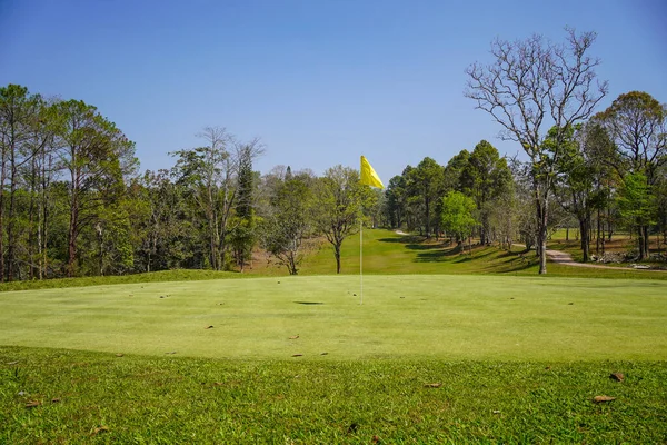 Erba Verde Boschi Campo Golf Vista Del Campo Golf Con — Foto Stock