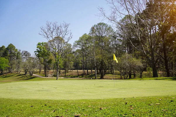 ゴルフ場の緑の芝生と森 美しい緑を入れてゴルフコースの眺め 豊かな緑の芝生とゴルフコース美しい風景 — ストック写真