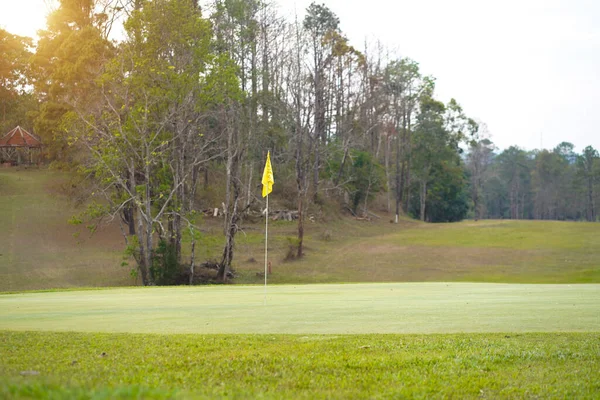 Grönt Gräs Och Skog Golfbana Utsikt Över Golfbanan Med Vacker — Stockfoto