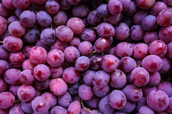 Close Raw Organic Sweet Red Grapes Background Wine Grapes Texture — Stock fotografie