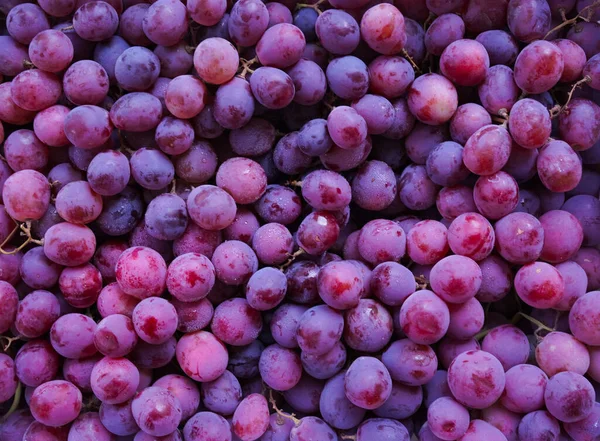 Close Fundo Uvas Vermelhas Doces Orgânicas Cruas Textura Uvas Vinho — Fotografia de Stock