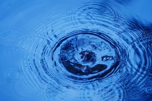 Raindrops falling on smooth surface of water. water droplets affect the surface, forming rings on the surface.