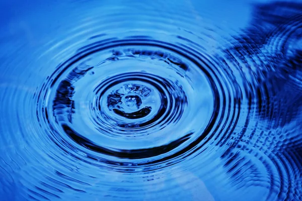 Raindrops falling on smooth surface of water. water droplets affect the surface, forming rings on the surface.