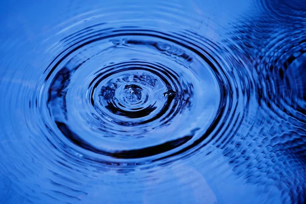 Raindrops falling on smooth surface of water. water droplets affect the surface, forming rings on the surface.