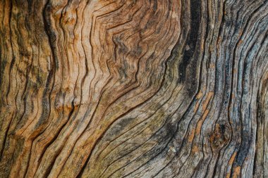 Soyut eski ahşap dokuya yakın çekim. Düz olmayan desenli kuru kahverengi ahşap zemin.                                 