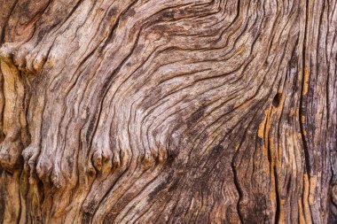 Soyut eski ahşap dokuya yakın çekim. Düz olmayan desenli kuru kahverengi ahşap zemin.                                 