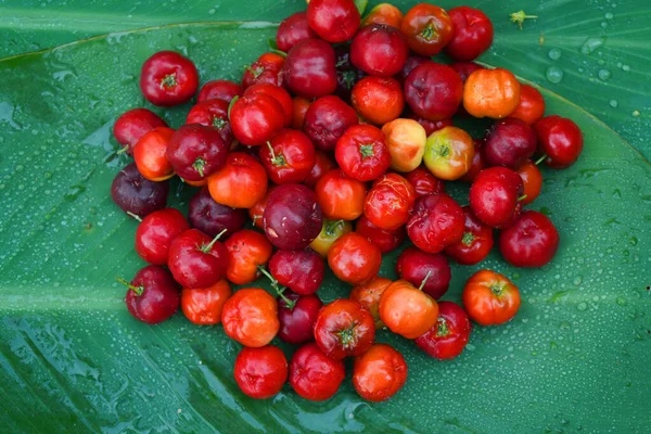 Biologico Brasiliano Acerola Cherry Food Background Acerola Fresca Biologica Ciliegie — Foto Stock