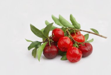 Taze acerola meyvesi, tipik Brezilyalı. Beyaz zemin üzerinde yarım dilimli ve yeşil yapraklı kırmızı organik Acerola kirazı, yüksek vitamin C ve antioksidan meyveler.                                 