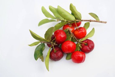 Taze acerola meyvesi, tipik Brezilyalı. Beyaz zemin üzerinde yarım dilimli ve yeşil yapraklı kırmızı organik Acerola kirazı, yüksek vitamin C ve antioksidan meyveler.                                 