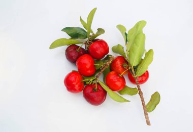Taze acerola meyvesi, tipik Brezilyalı. Beyaz zemin üzerinde yarım dilimli ve yeşil yapraklı kırmızı organik Acerola kirazı, yüksek vitamin C ve antioksidan meyveler.                                 