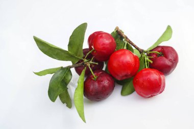 Taze acerola meyvesi, tipik Brezilyalı. Beyaz zemin üzerinde yarım dilimli ve yeşil yapraklı kırmızı organik Acerola kirazı, yüksek vitamin C ve antioksidan meyveler.                                 