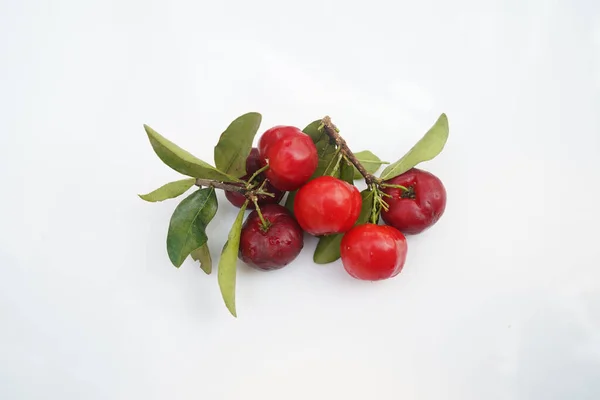 Fresh Acerola Fruit Typical Brazil Red Organic Acerola Cherry Half — Stock Photo, Image