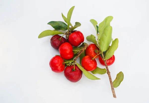 Свежие Фрукты Ацеролы Типичные Бразилии Красная Органическая Вишня Ацерола Половинным — стоковое фото