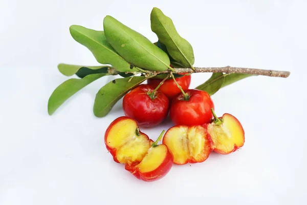 Frutto Acerola Fresco Tipico Del Brasile Rosso Biologico Frutta Acerola — Foto Stock