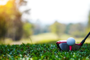 Golf sahasında golf sopalarıyla golf topları ilk kısa devre için hazır. Sabah, güzel güneş ışığıyla..                              