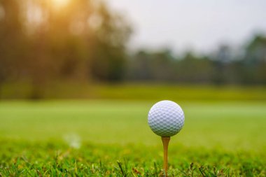 Golf topu golf sahasında gün batımında arka planda..                               
