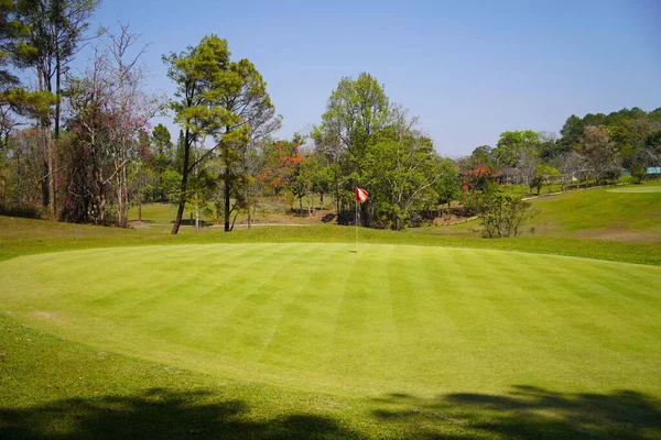 Widok Pole Golfowe Pięknym Putting Green Pole Golfowe Bogatą Zieloną — Zdjęcie stockowe