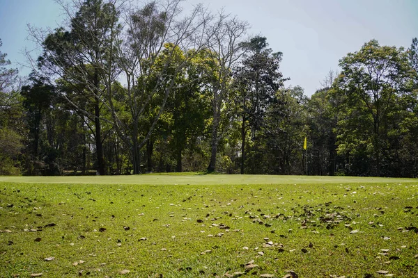 以漂亮的绿色展示高尔夫球场的景色 高尔夫球场绿树成荫 风景秀丽 — 图库照片