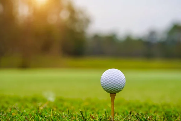 Golf Labda Tee Gyönyörű Golfpálya Naplemente Háttér — Stock Fotó