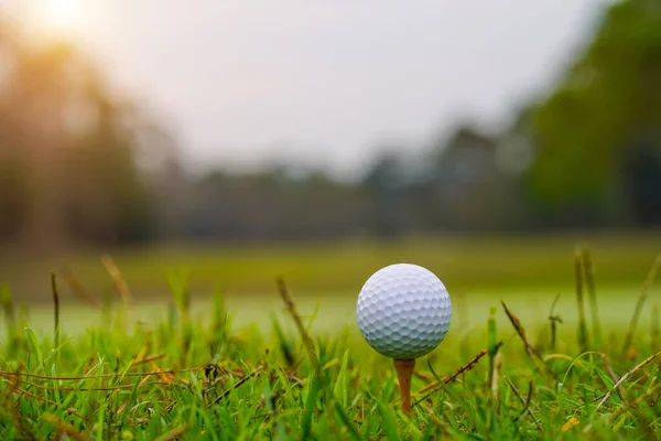 夕日を背景に美しいゴルフコースでティーにゴルフボール — ストック写真