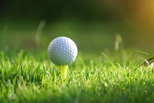 Golf Bollen Tee Grön Gräsmatta Vacker Golfbana Med Morgonsol Redo — Stockfoto