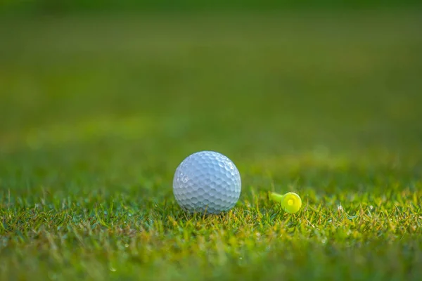 Piłka Golfowa Jest Zielonym Trawniku Pięknym Polu Golfowym Porannym Słońcem — Zdjęcie stockowe