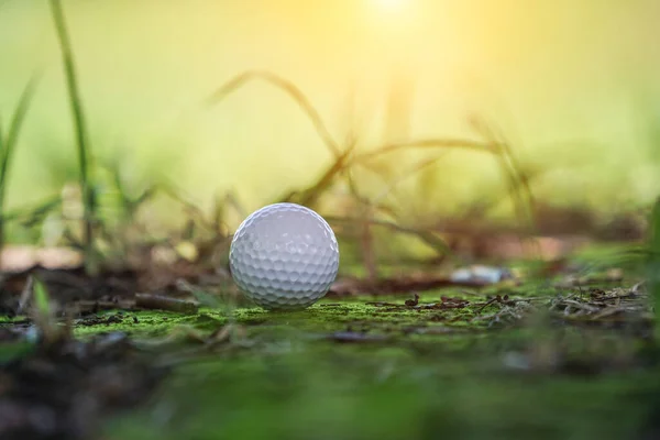 Golfbal Een Groen Gazon Een Prachtige Golfbaan Met Ochtendzon Klaar — Stockfoto