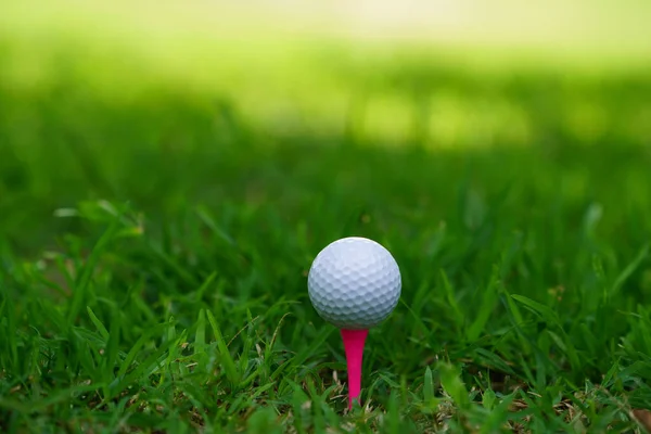 Golf Ball Tee Green Lawn Beautiful Golf Course Morning Sunshine — Stockfoto